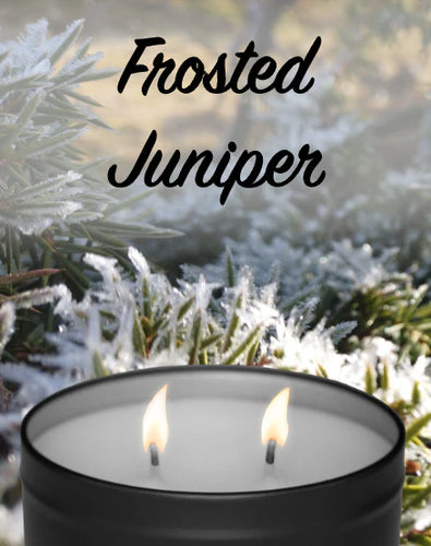 Flickers Frosted Juniper Tin Candle